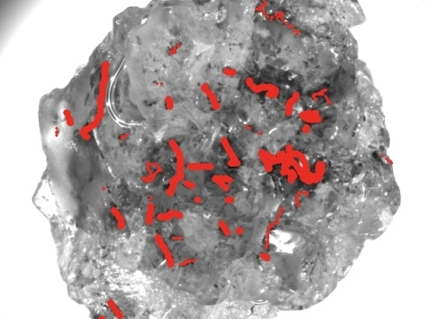 Marked inclusions (in previously shown rough diamond)