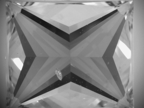 Feather in polished diamond